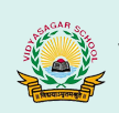 Vidyasagar School