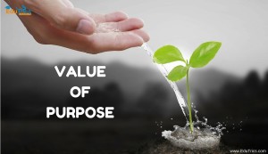 Five Ways to Discover the Value of Purpose in Studies